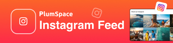 Instagram Feed logo